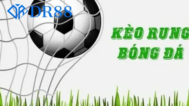 Kèo rung bóng đá - Tìm hiểu về hình thức cá cược hấp dẫn này 3 loi-ich-cua-viec-choi-keo-rung-bong-da