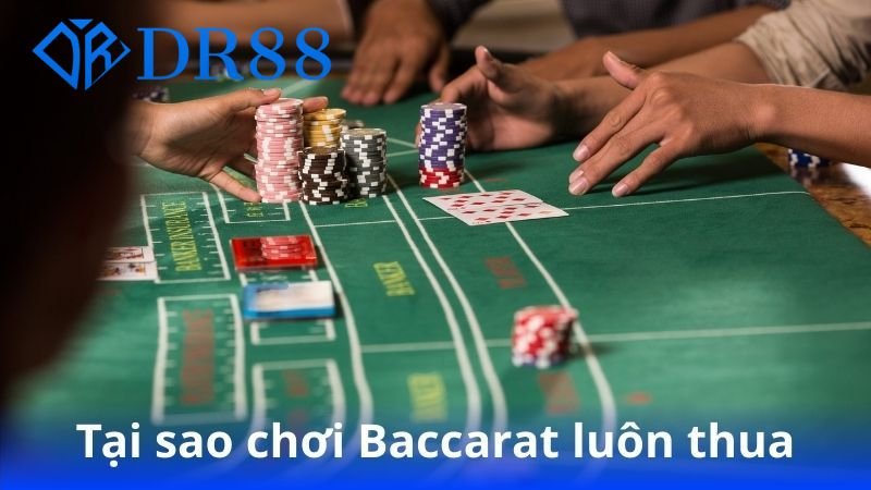 tai-sao-choi-baccarat-luon-thua